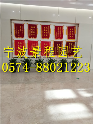 案例